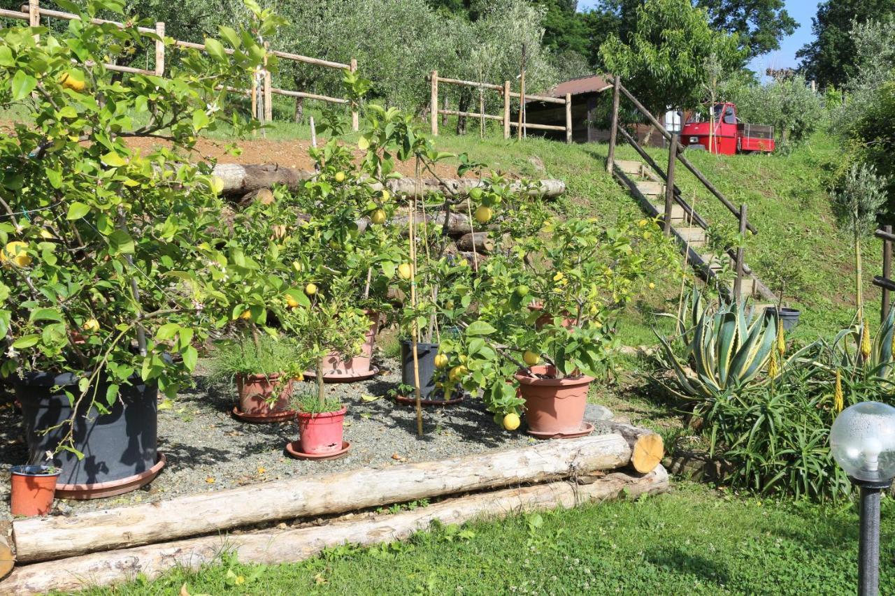 Appartamenti L'Olivo Bagnone Exterior photo