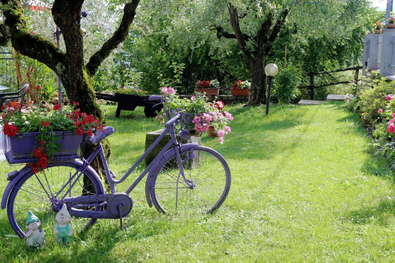 Appartamenti L'Olivo Bagnone Exterior photo